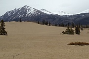 Carcross Desert