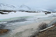 White Pass