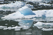 Columbia Glacier