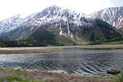 Tern Lake