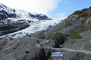Exit Glacier
