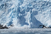 Holgate Glacier