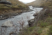 Denali National Park