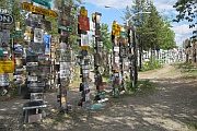 Sign Post Forest