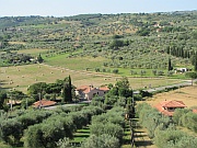 Magliano in Toscana
