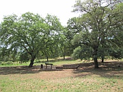 Parco Naturale della Maremma