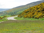 Highlands – bei Portgower