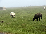 Highlands – Duncansby Head