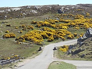 Highlands – Ceannabeinne