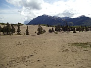 Carcross Desert