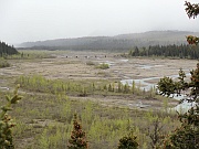 Denali National Park
