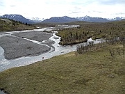 Savage River Trail