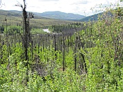 Steese Highway