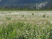 Dempster Highway