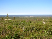Tetlit Gwinjik View Point