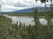 Stewart River
