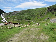 Halsabakkane