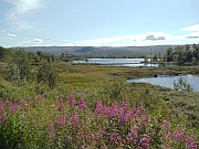 Hardangervidda