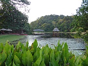 Maquenque Eco Lodge