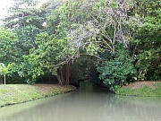 Turtle Beach Lodge