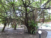 Turtle Beach Lodge