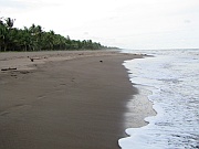 Turtle Beach Lodge
