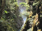 Little Qualicum Falls PP