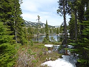 Paradise Meadows