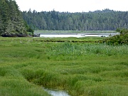 Cluxewe Resort
