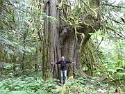 Big Cedars Trail