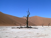 Deadvlei