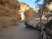 Sesriem-Canyon