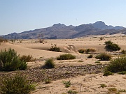 Hoanib