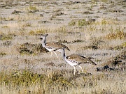 Riesentrappen