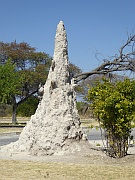 Termitenhügel