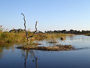 Kwando River
