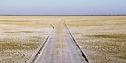 Makgadikgadi Salzpfannen