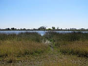 Wasserloch