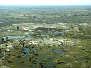Okavango Delta