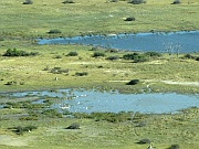 Okavango Delta