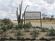 The Elegant Farmstead