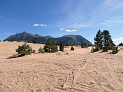 Carcross Desert