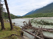 Taiya River