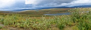 Denali Highway