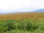 Denali Highway