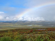 Denali Highway