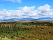 Denali Highway
