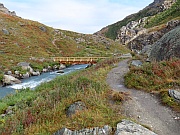 Denali National Park