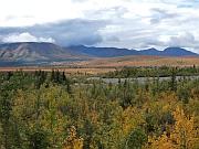 Denali National Park