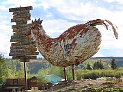 Chicken